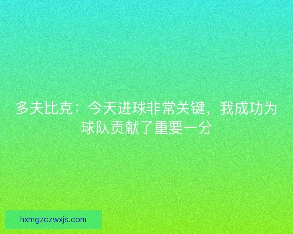 多夫比克：今天进球非常关键，我成功为球队贡献了重要一分