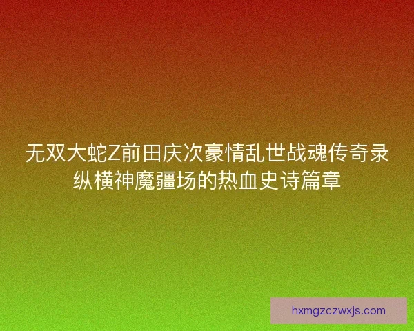 无双大蛇Z前田庆次豪情乱世战魂传奇录纵横神魔疆场的热血史诗篇章